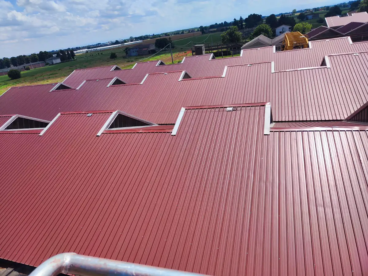 Prezzi-coperture-industriali-capannoni-in-zona-rubiera Prezzi-coperture-industriali-capannoni-in-zona-rubiera